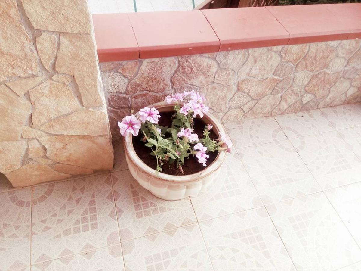 Villa Grazia Deluxe Lido di Noto المظهر الخارجي الصورة